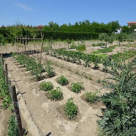 Apartament Seaside Gatteo a Mare